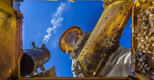 'Sarı Kareler Fotoğraf Yarışması’nda ödüller sahiplerini buldu