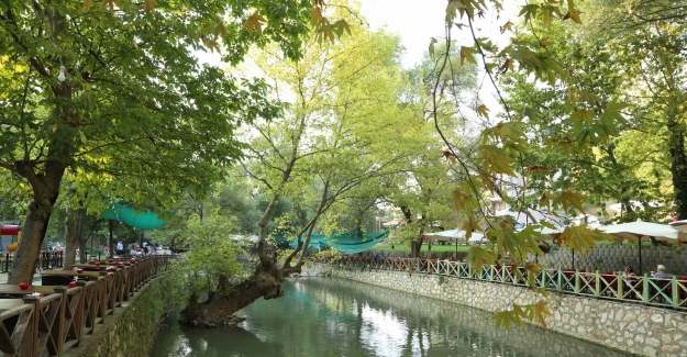 “Misi’nin Florası”nı sanata yansıtacaklar