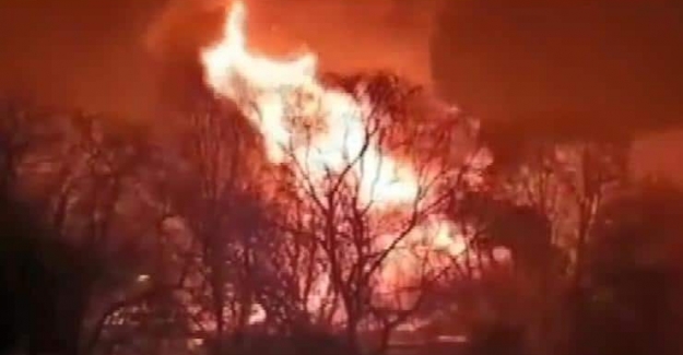 Almanya’da hayvanat bahçesinde yangın: 30’dan fazla maymun öldü