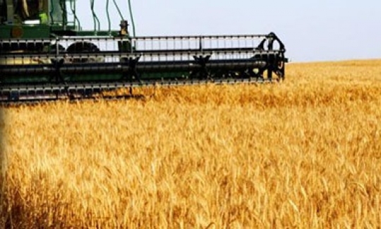 BUĞDAY İTHALATI'nda tarihi rekor'