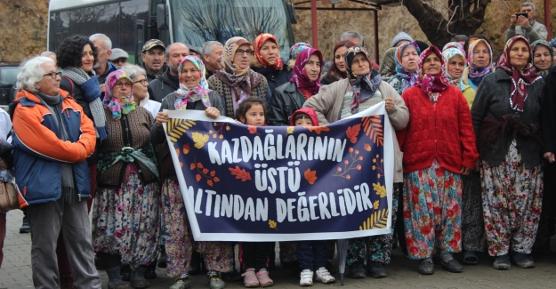 Kaz Dağları'nın kabusu geri dönüyor