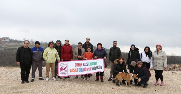 Sokak hayvanlarını sürekli besliyorlar