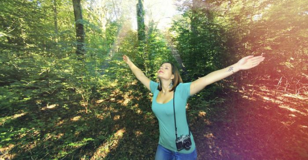 İzlanda'da Koronavirüs yalnızlığına karşı ilginç öneri: "Ağaçları kucaklayın!.."