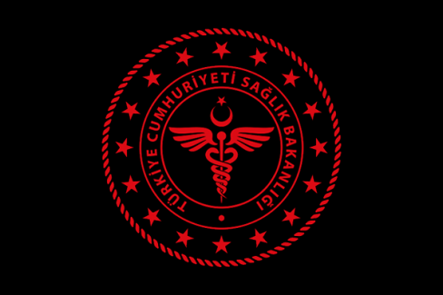 Koronavirüs salgınında ölenlerimizin sayısı 2 bin 805'e ulaştı