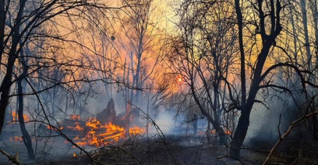 Ukrayna Çernobil Bölgesi'ndeki yangın 8 gündür söndürülemedi
