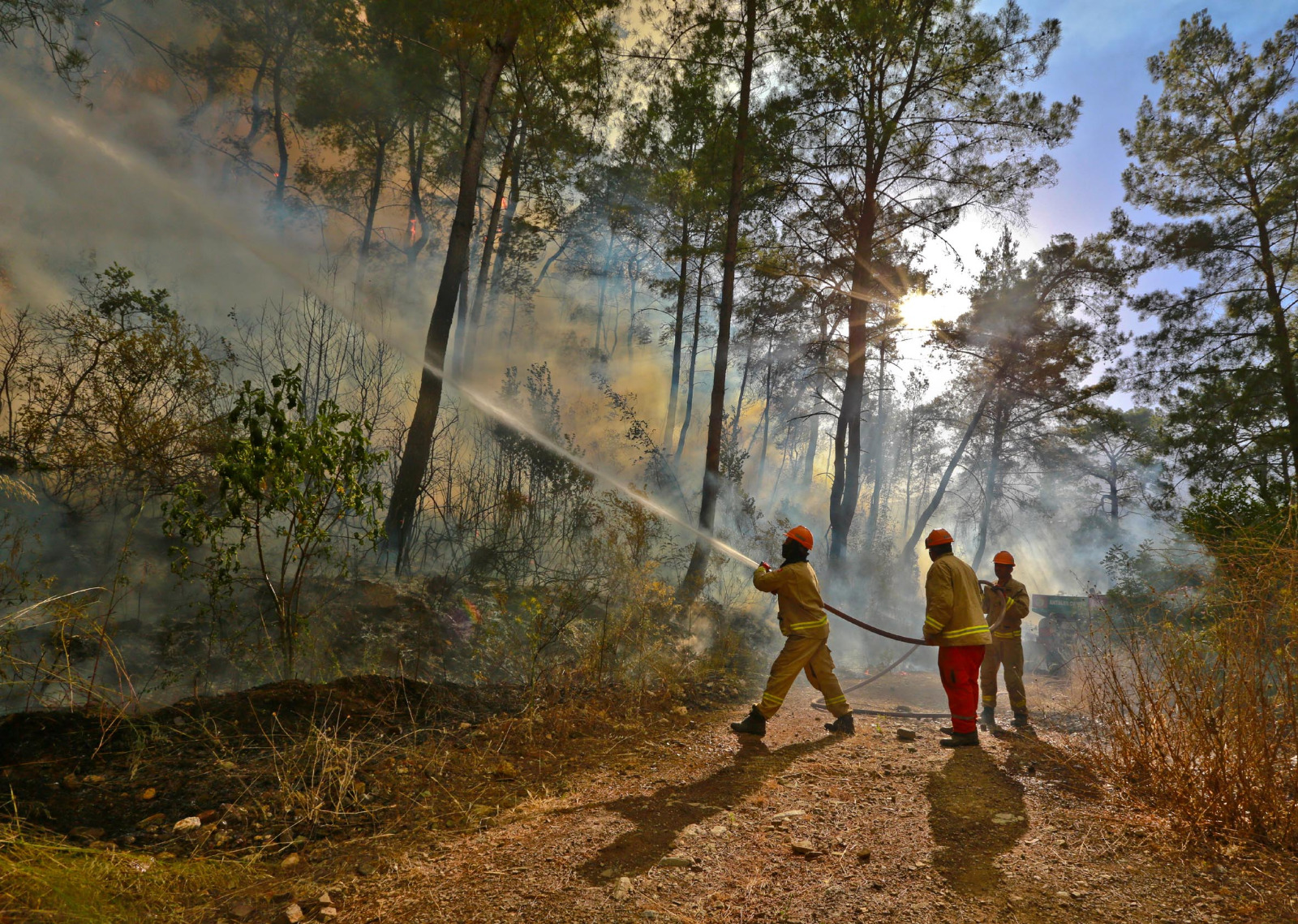 Afrika sıcakları başladı, orman yangınlarına dikkat!..