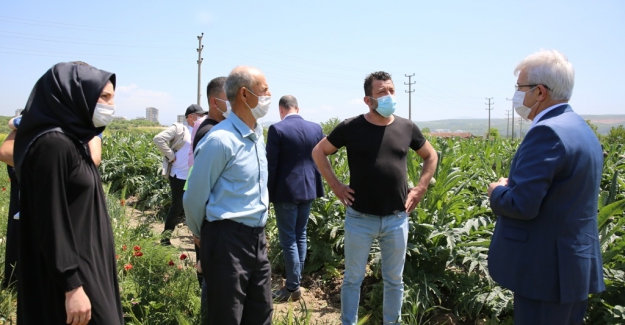 Başkan Erdem’den enginar üreticisine destek