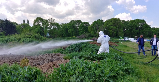Bursa, hastalıklara karşı daha güvenli