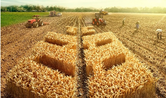 Kredi borcu olan çiftçilere müjde: "Zırai kredi geri ödemeleri 6 ay ertelendi!.."