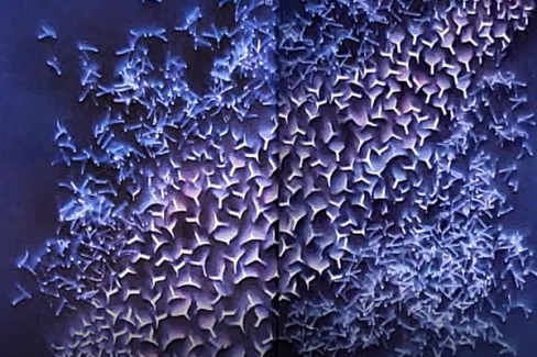 Ressam Tülin Onat ve Yaşayan Resimler