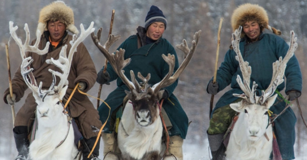 Türk Kavminin olağanüstü bir kolu: "Dukha Türkleri"