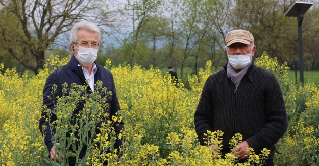 Yerel tohumlar takasa hazır