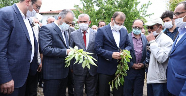 Büyükşehir Belediyesi Afet Bölgelerinde inceleme yaptı