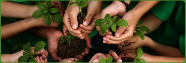 Çevre Haftası’nda fidan bağışı kampanyası