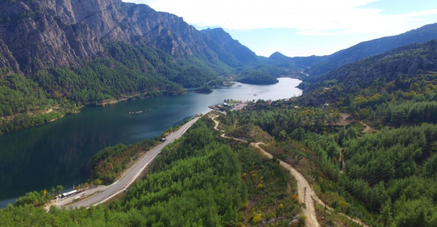 ‘Her insan doğaya 210 ağaç borçlu’