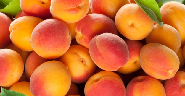 Sağlıklı gıda için 16 tarım ilacına daha yasak