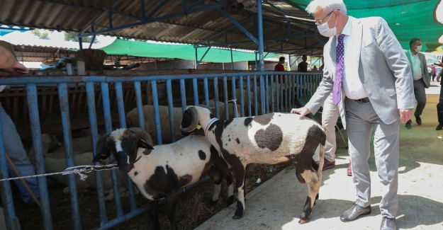 Başkan Erdem’den hayvan pazarına ziyaret