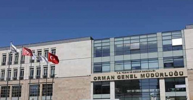 Orman Genel Müdürlüğü 700 İşçi Personel Alacak