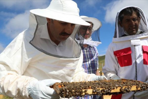 Sivas arıcılıkta üs merkezi olmayı hedefliyor