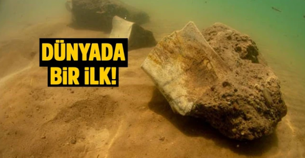 Yamula Barajı'nda bulundu: 7.5 milyon yıllık