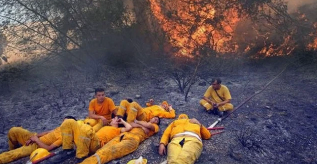 Bakan Pakdemirli paylaştı! "Dün gece rahat uyudunuz mu?"