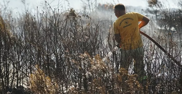 Balıkesir Havran'da Orman Yetiştirme Sahasında Yangın!..