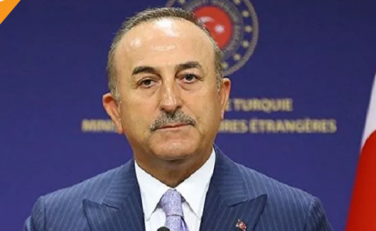Dışişleri Bakanı Çavuşoğlu: "Ben Türk'üm, Türkmen'im diyen soydaşlarımıza vatandaşlık vereceğiz"