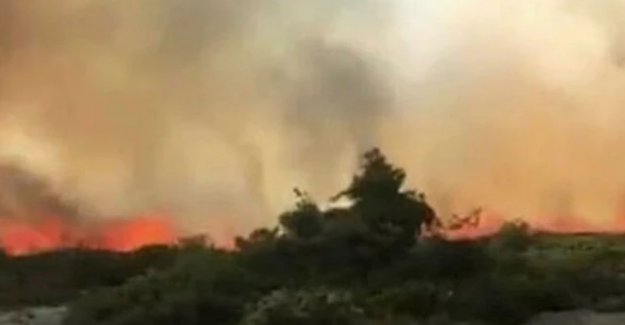 İçişleri Bakanlığı'ndan 81 ile flaş genelge!