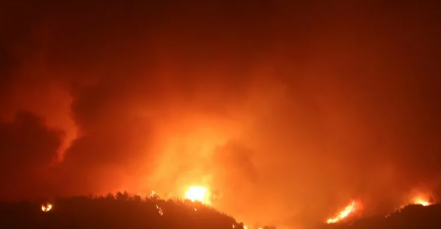 Kozan'da büyük yangın: 200 Hektardan fazla ormanlık alan yandı, 6 köy boşaltıldı!..
