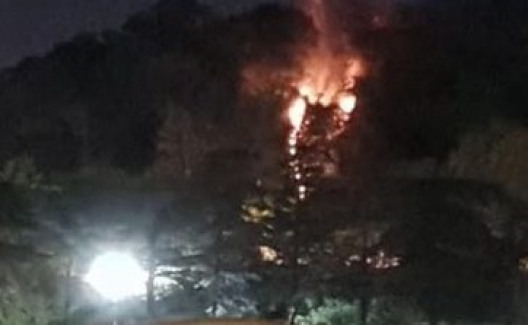 Şimdi de İstanbul Emirgan korusunda yangın!