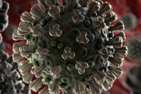 Koronavirüs salgınında ölenlerin sayısı 7 bin 711'e ulaştı