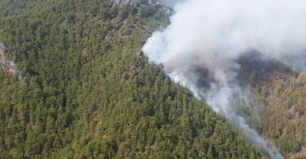 Antalya'da orman yangını