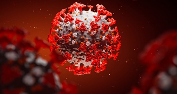 Bu kan grubu koronaya resmen kafa tutuyor. Son araştırma ile de kesinleşti