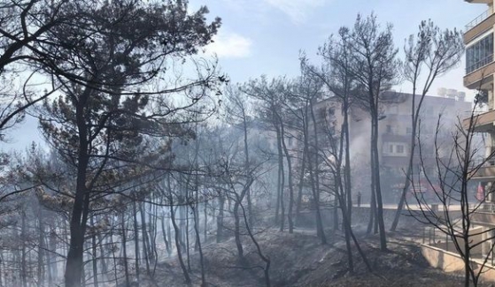 Hatay Yangınlarında 4 Şüpheli gözaltına alındı