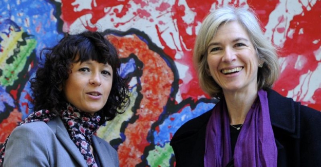 Nobel Kimya Ödülü 'genetik makasları' keşfeden iki kadın bilim insanına verildi