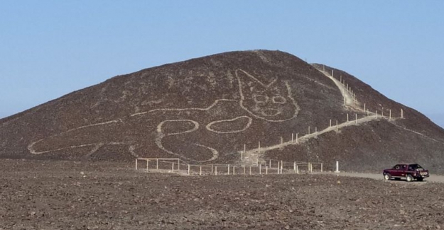 Peru'da çöle çizilmiş 2 bin yıllık dev kedi figürü keşfedildi