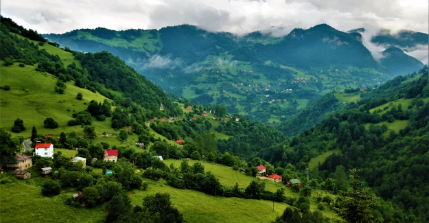 Türkiye ormanları sera gazı salınımının yüzde 16’sını tutuyor