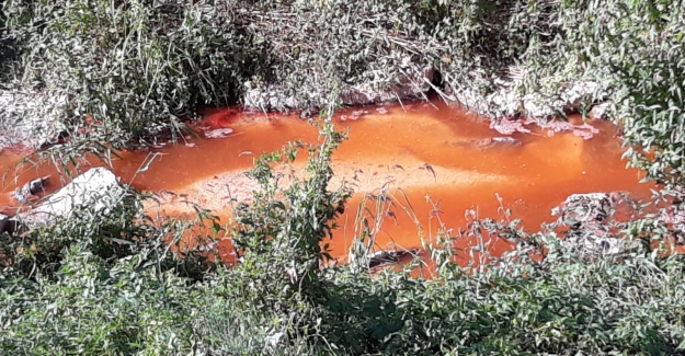 Yenişehir Ovasını Kimler Zehirliyor?