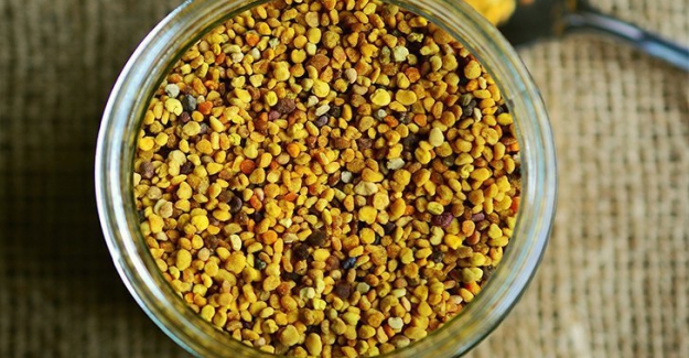 Bilinen en eski doğal tedavi ürünü ARI POLENİ..