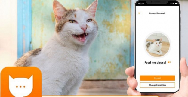 MeowTalk: Kedilerin miyavlamalarını tercüme eden uygulama