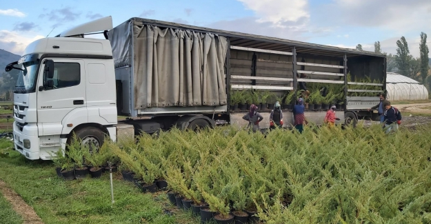 'Milli Ağaçlandırma Günü' için  83 milyon fidanın dağıtımı başladı