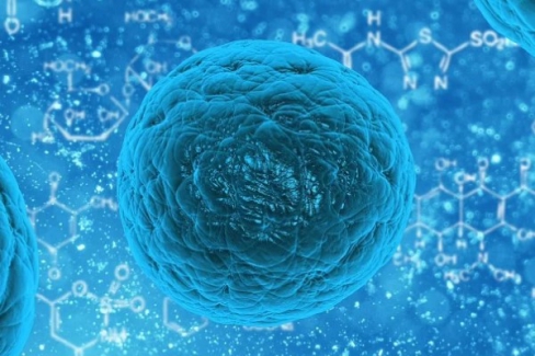 Salgında açıklanan ölüm sayısı 12 bin 219'a ulaştı