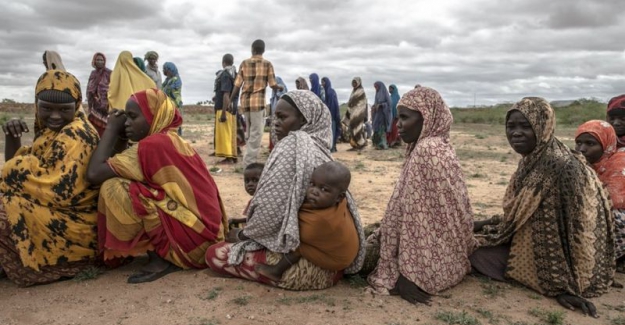Türkiye Somali'nin IMF borcunu neden ödedi, Afrika politikası açısından ne anlama geliyor?