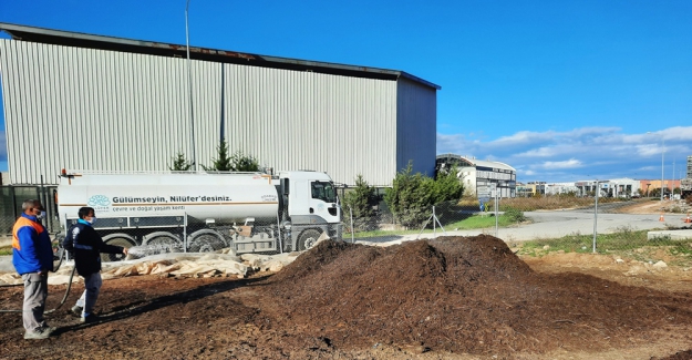 Nilüfer'de 8 bin ton budama atığı kompost gübre oldu
