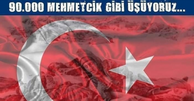 SARIKAMIŞ ŞEHİTLERİMİZİ RAHMET VE MİNNETLE ANIYORUZ!