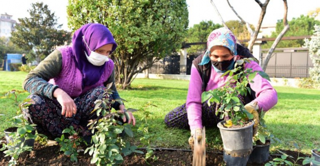 Yıldırım'da kış çiçekleri toprakla buluşuyor