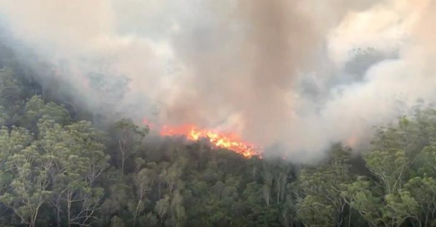 2020 en sıcak üç yıldan biri oldu