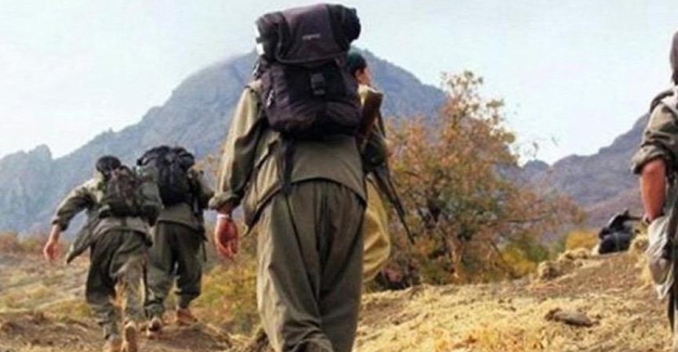 28 yıldır dağda olan terörist, ikna sonucunda teslim oldu!