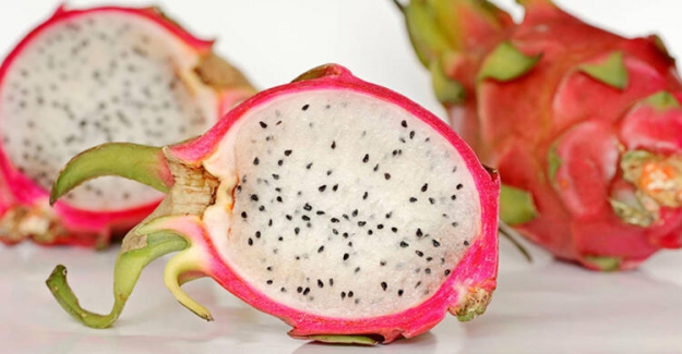 Süper "Ejder Meyvesi" metabolik yaşı geri sardırıyor!