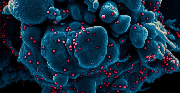 DSÖ'den aşı üreticilerine mutasyon uyarısı